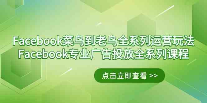 （9065期）Facebook-菜鸟到老鸟全系列运营玩法+Facebook-专业广告投放全系列课程-副业库