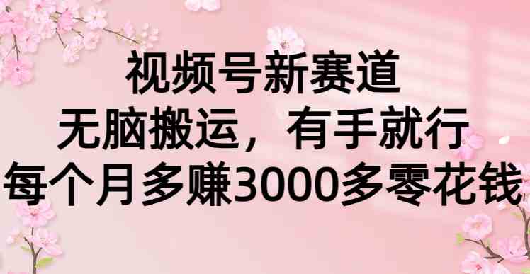 （9278期）视频号新赛道，无脑搬运，有手就行，每个月多赚3000多零花钱-副业库
