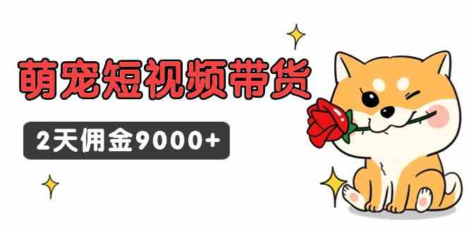 （9273期）东哲日记·萌宠短视频带货，2天佣金9000+-副业库