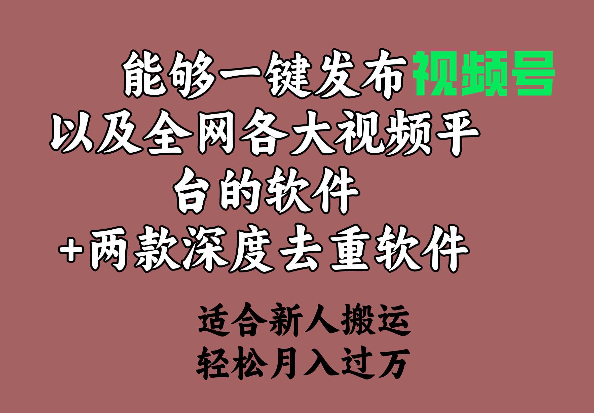 （9319期）能够一键发布视频号以及全网各大视频平台的软件+两款深度去重软件 适合…-副业库
