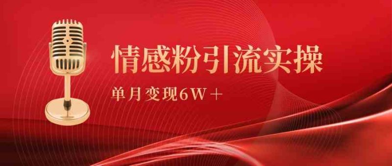 （9473期）单月变现6w+，情感粉引流变现实操课-副业库