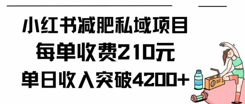 (9466期)小红书减肥私域项目每单收费210元单日成交20单,最高日入4200+-副业库