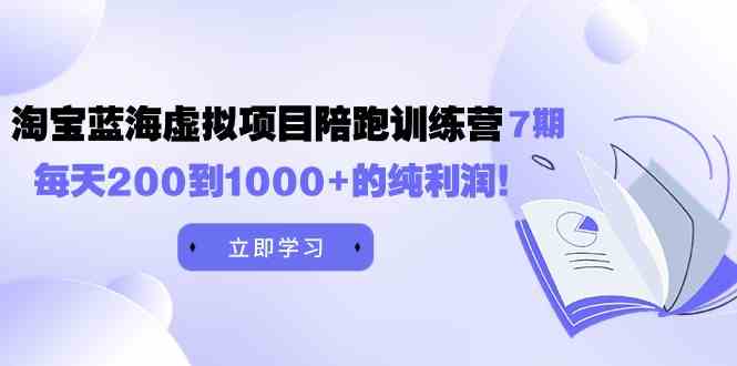 （9541期）黄岛主《淘宝蓝海虚拟项目陪跑训练营7期》每天200到1000+的纯利润-副业库