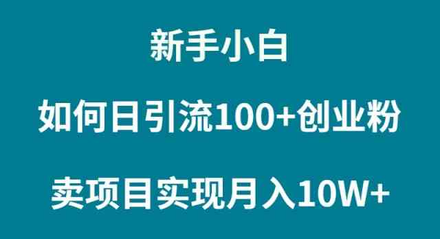 （9556期）新手小白如何通过卖项目实现月入10W+-副业库