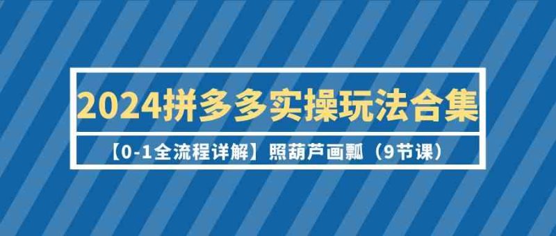 (9559期)2024拼多多实操玩法合集【0-1全流程详解】照葫芦画瓢(9节课)-副业库