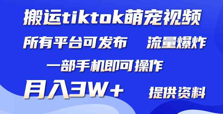 （9618期）搬运Tiktok萌宠类视频，一部手机即可。所有短视频平台均可操作，月入3W+-副业库