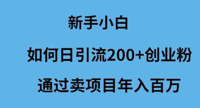 （9668期）新手小白如何日引流200+创业粉通过卖项目年入百万-副业库