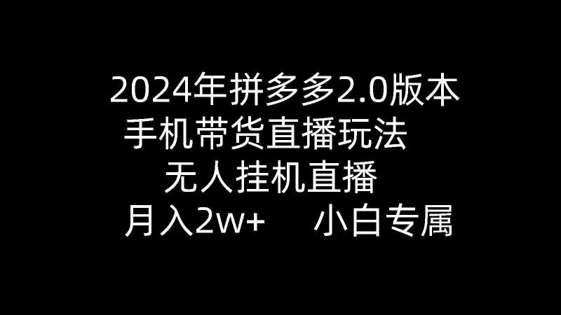 (9768期)2024年拼多多2.0版本,手机带货直播玩法,无人挂机直播, 月入2w+, 小…-副业库
