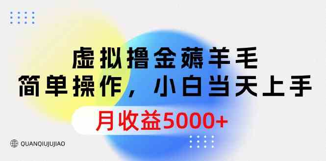 （9864期）虚拟撸金薅羊毛，简单操作，小白当天上手，月收益5000+-副业库