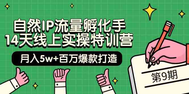 （9881期）自然IP流量孵化手 14天线上实操特训营【第9期】月入5w+百万爆款打造 (74节)-副业库