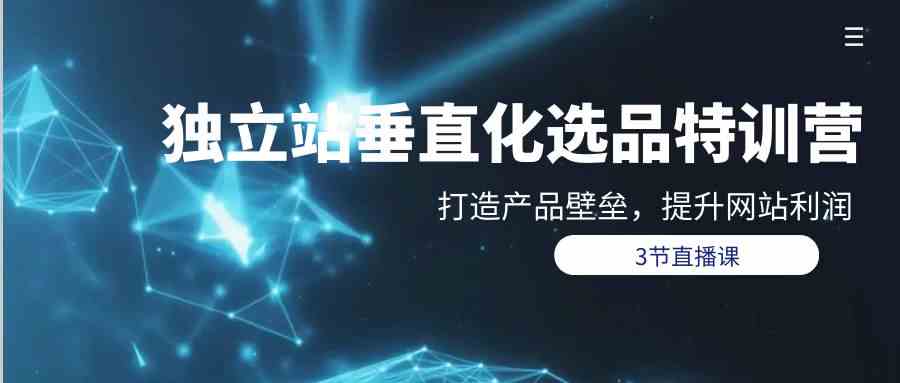 （9925期）独立站-垂直化选品训练营，打造产品壁垒，提升网站利润（3节直播课）-副业库