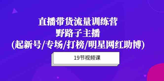 （10016期）直播带货流量特训营，野路子主播(起新号/专场/打榜/明星网红助博)19节课-副业库