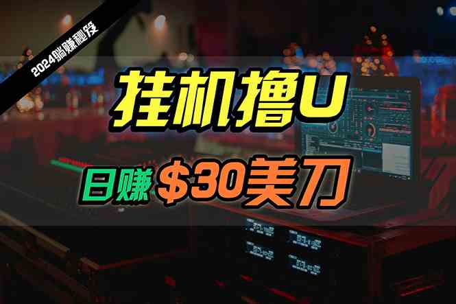 （10013期）日赚30美刀，2024最新海外挂机撸U内部项目，全程无人值守，可批量放大-副业库