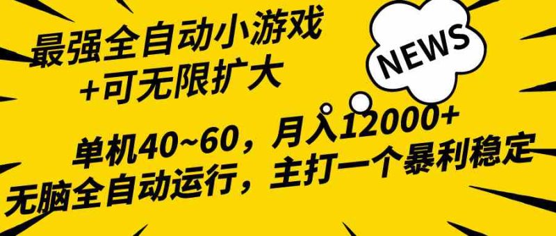 （10046期）2024最新全网独家小游戏全自动，单机40~60,稳定躺赚，小白都能月入过万-副业库