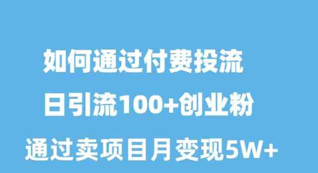 （10189期）如何通过付费投流日引流100+创业粉月变现5W+-副业库