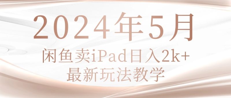(10459期)2024年5月闲鱼卖ipad日入2k,最新玩法教学-副业库