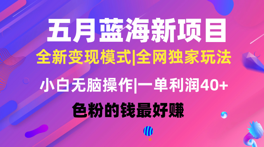 （10477期）五月蓝海项目全新玩法，小白无脑操作，一天几分钟，矩阵操作，月入4万+-副业库