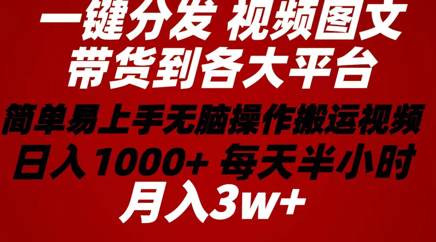 （10667期）2024年 一键分发带货图文视频  简单易上手 无脑赚收益 每天半小时日入1…-副业库