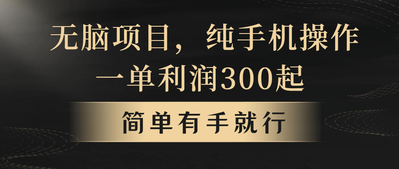 （10699期）无脑项目，一单几百块，轻松月入5w+，看完就能直接操作-副业库
