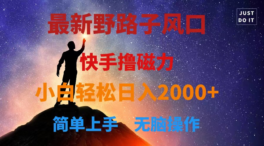 （10754期）最新风口！快手撸磁力，野路子，小白无脑操作日入2000+-副业库