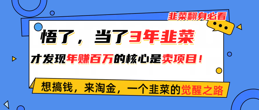 （10759期）悟了，当了3年韭菜，才发现网赚圈年赚100万的核心是卖项目，含泪分享！-副业库