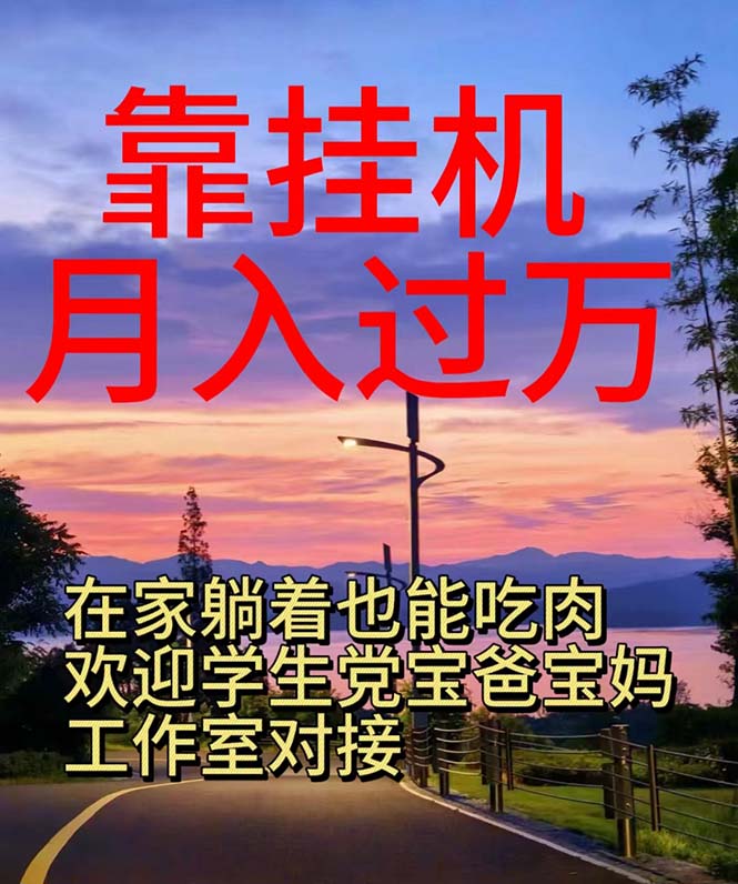 （10838期）靠挂机，日入1000+，躺着也能吃肉，适合宝爸宝妈学生党工作室，电脑手…-副业库