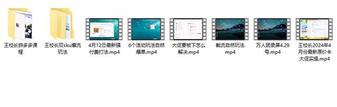 图片[3]-（10865期）拼多多·实战课：万人团玩法/截流自然流/最新强付费打法/最新原价卡大促..-副业库