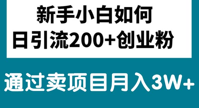 （10843期）新手小白日引流200+创业粉,通过卖项目月入3W+-副业库