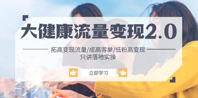 （10871期）大健康 流量 变现2.0：拓高变现 流量/成高客单/低粉高变现/只讲落地实战-副业库