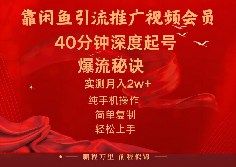 (10895期)闲鱼暴力引流推广视频会员,能做到日入2W+,操作简单-副业库