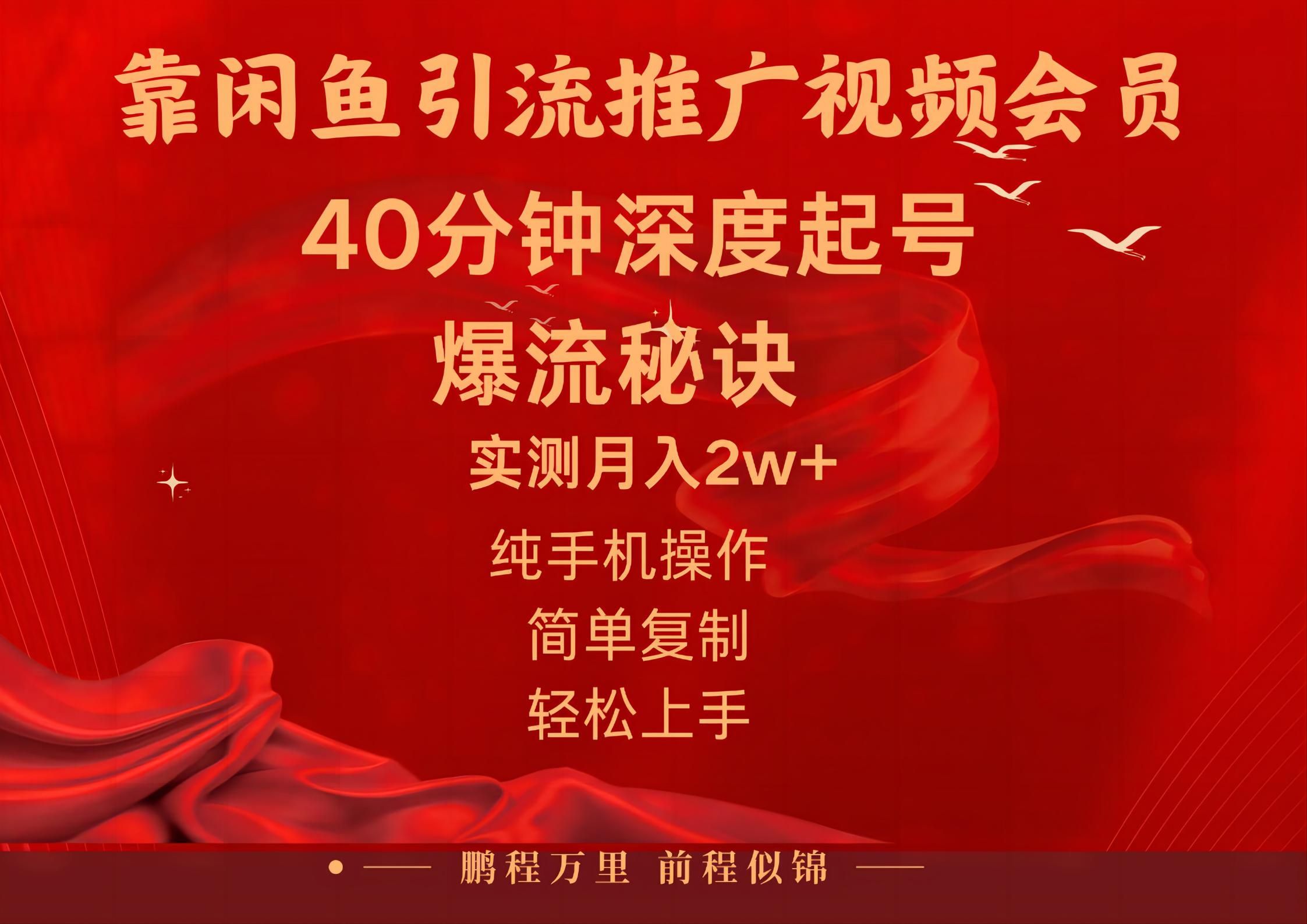 （10895期）闲鱼暴力引流推广视频会员，能做到日入2W+，操作简单-副业库