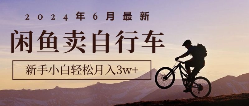 (10915期)2024年6月最新闲鱼卖自行车,新手小白轻松月入3w+项目-副业库