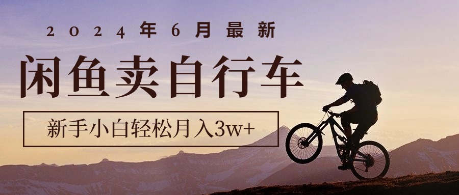 （10915期）2024年6月最新闲鱼卖自行车，新手小白轻松月入3w+项目-副业库