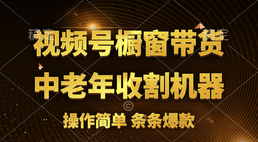（11009期）[你的孩子成功取得高位]视频号最火爆赛道，橱窗带货，流量分成计划，条…-副业库