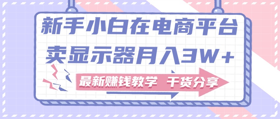 （11053期）新手小白如何做到在电商平台卖显示器月入3W+，最新赚钱教学干货分享-副业库