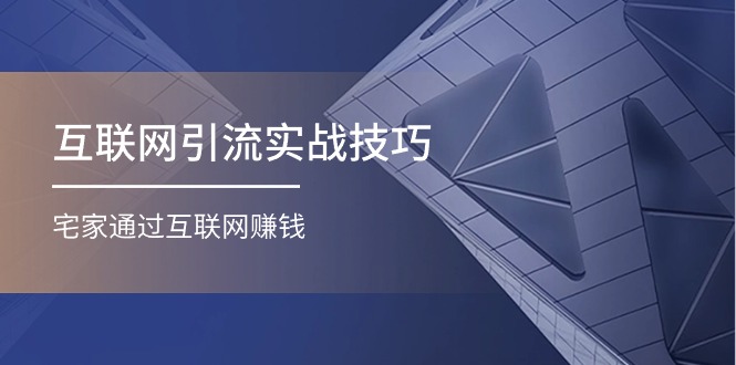 （11108期）互联网引流实操技巧(适合微商，吸引宝妈)，宅家通过互联网赚钱（17节）-副业库