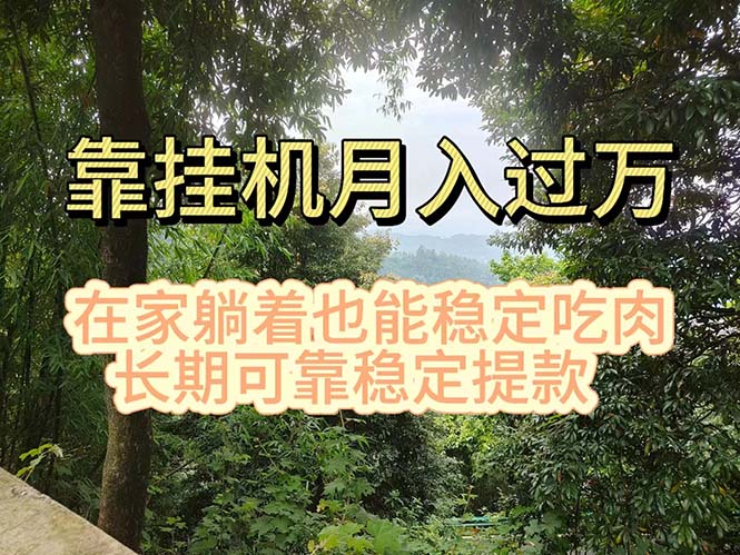 （11144期）挂机掘金，日入1000+，躺着也能吃肉，适合宝爸宝妈学生党工作室，电脑…-副业库