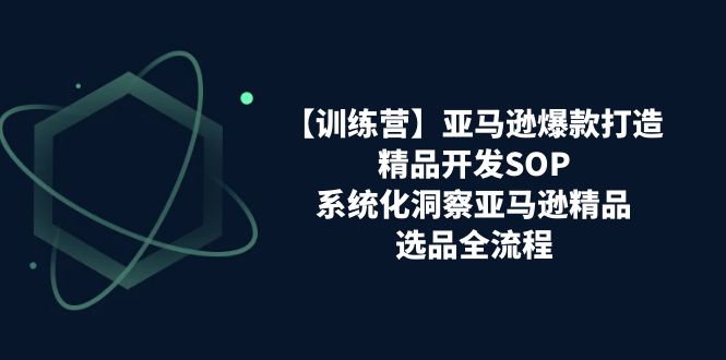 （11210期）【训练营】亚马逊爆款打造之精品开发SOP，系统化洞察亚马逊精品选品全流程-副业库