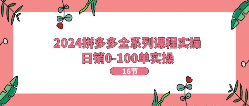 (11222期)2024拼多多全系列课程实操,日销0-100单实操【16节课】-副业库