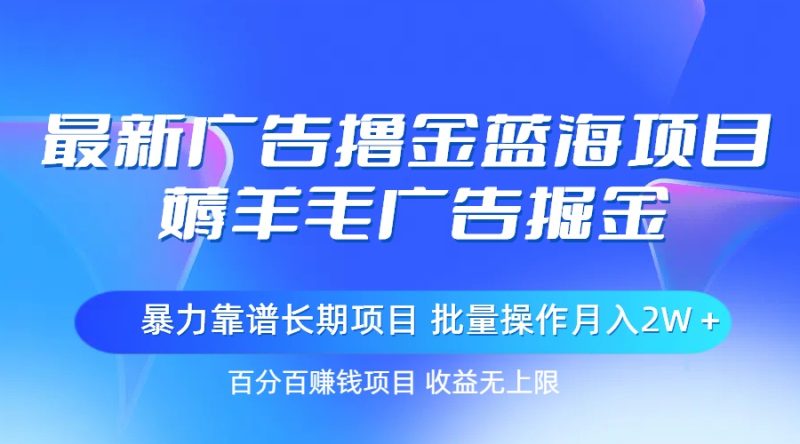 （11193期）最新广告撸金蓝海项目，薅羊毛广告掘金 长期项目 批量操作月入2W＋-副业库