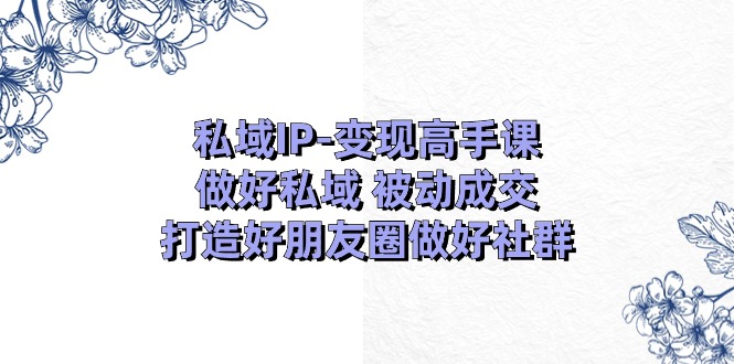 （11209期）私域IP-变现高手课：做好私域 被动成交，打造好朋友圈做好社群（18节）-副业库
