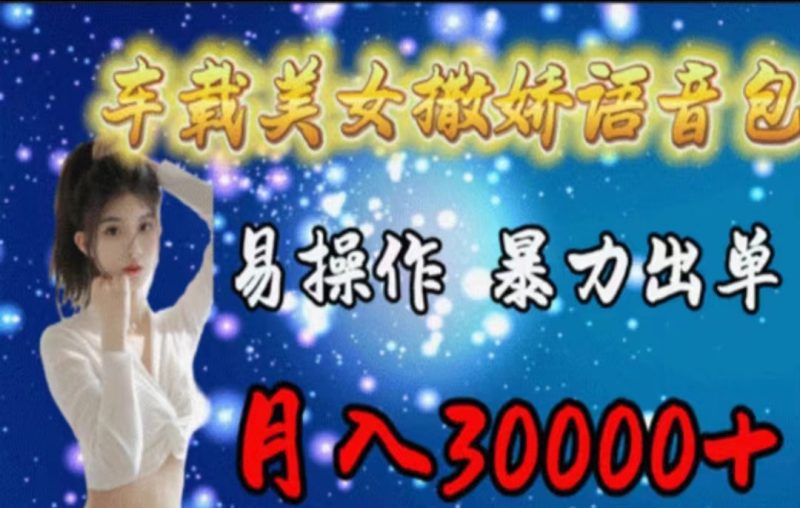 （11249期）车载美女撒娇语音包，执行就出单，月入3000＋，小白看完课程就能马上实操-副业库