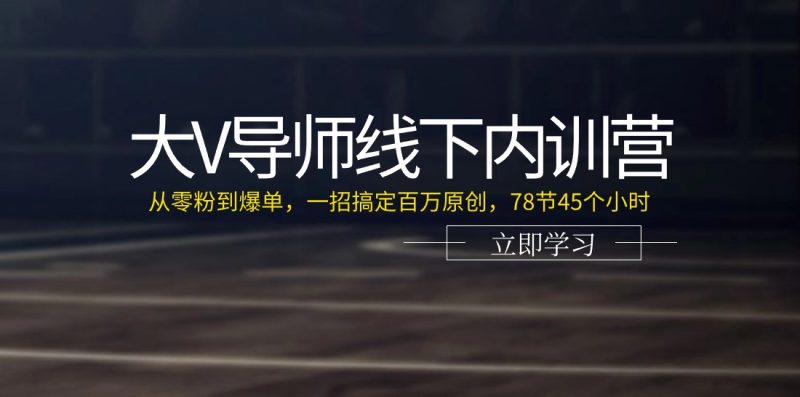 （11261期）大V导师线下内训营：从零粉到爆单，一招搞定百万原创，78节45个小时-副业库