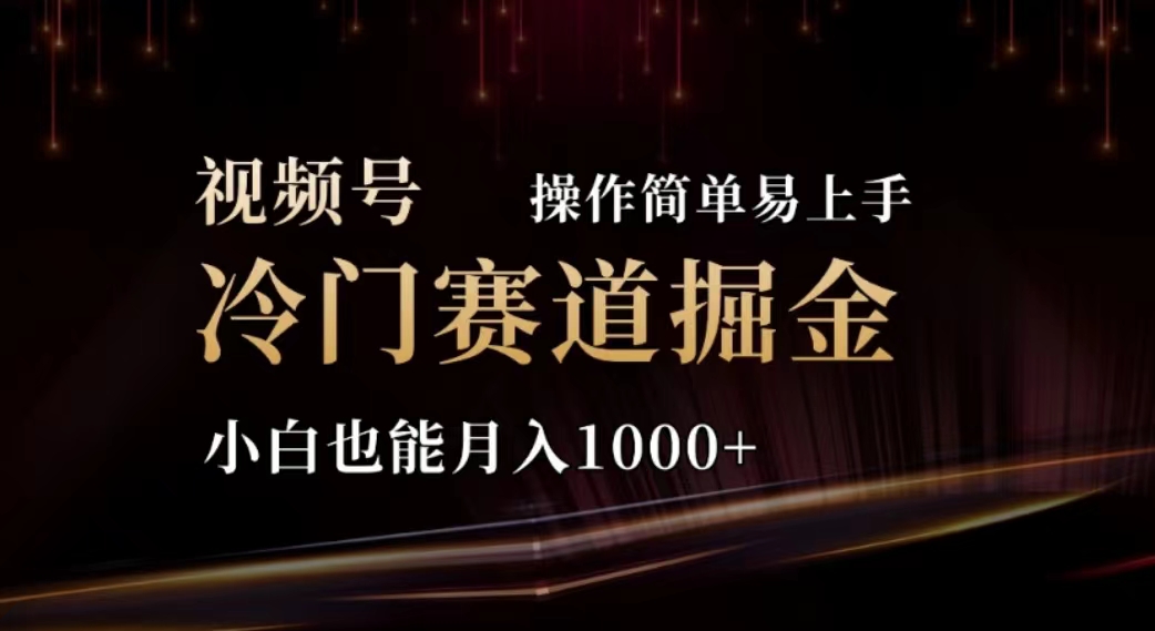 （11378期）2024视频号冷门赛道掘金，操作简单轻松上手，小白也能月入1000+-副业库