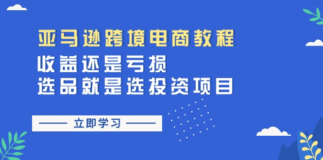 （11432期）亚马逊跨境电商教程：收益还是亏损！选品就是选投资项目-副业库