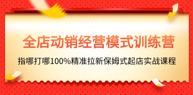 （11460期）全店动销-经营模式训练营，指哪打哪100%精准拉新保姆式起店实战课程-副业库