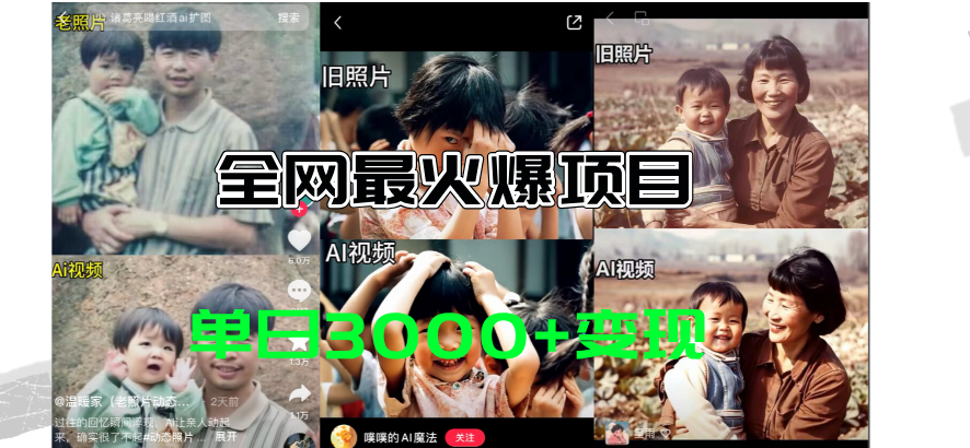 （11546期）全网爆火的AI让老照片动起来教程，蹭热点日赚3000+，内含免费工具一键…-副业库