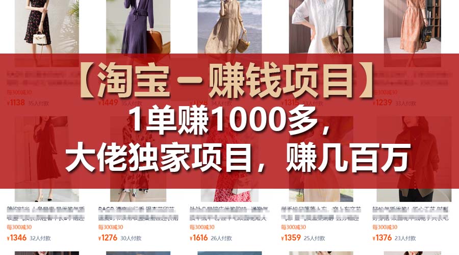 （11685期）【淘宝赚钱项目】1单可赚1000多，大佬独家项目，年赚几百万-副业库