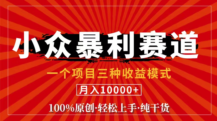 （11695期）视频号【中老年粉深信不疑】小众赛道 100%原创 手把手教学 新号3天收益…-副业库