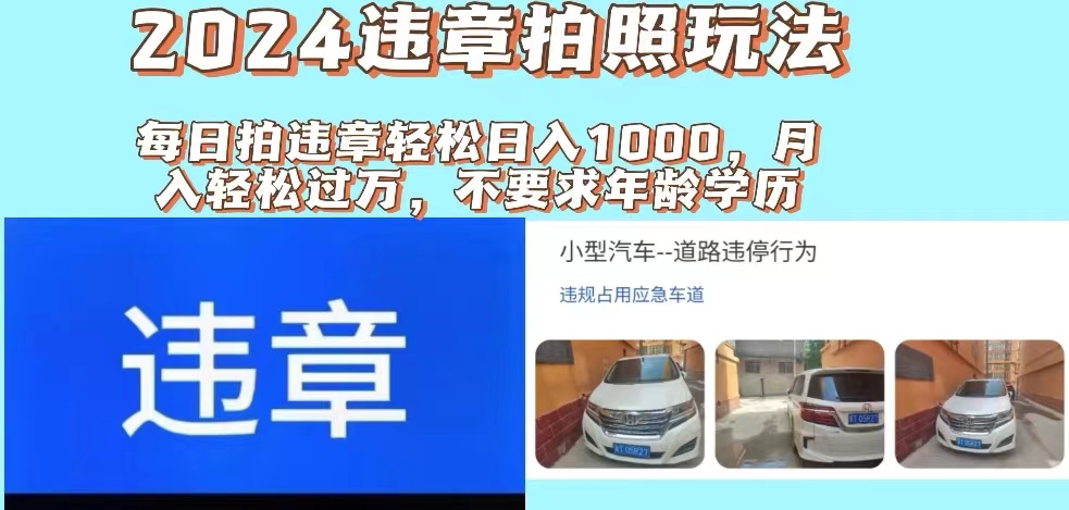 （11743期）2024违章拍照新玩法，推广躺赚+拍照赚钱双模式，日入1000+-副业库